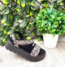 Load image into Gallery viewer, Black leopard 970 marco tozzi strappy sandal

