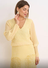 Load image into Gallery viewer, Lemon polka leopard kyla pleat dress
