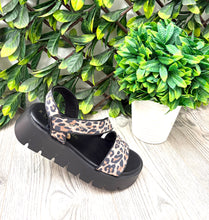 Load image into Gallery viewer, Black leopard 970 marco tozzi strappy sandal
