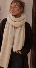 Load image into Gallery viewer, Brown, cream, khaki, wine , beige cosy cw scarf
